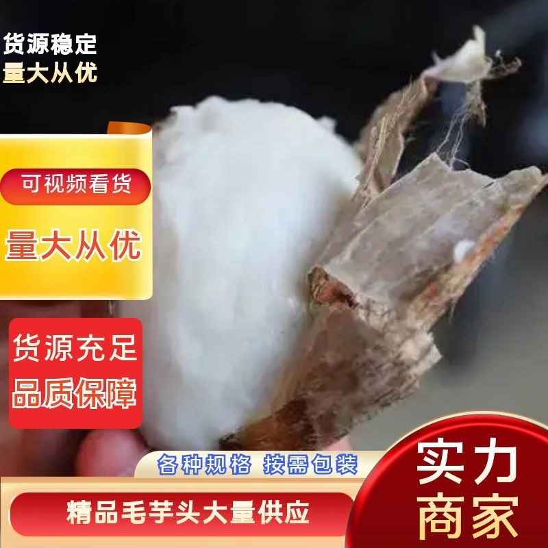 山东芋头种8520芋头货源充足价格优惠