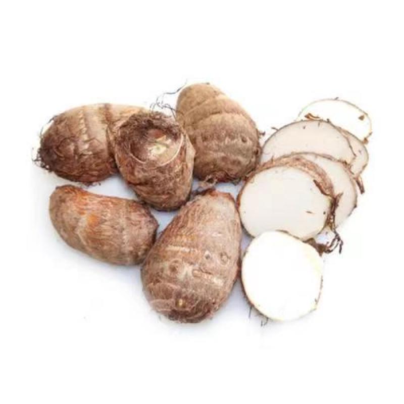 【热卖】山东新芋头，大量上市，货源充足量大从优，欢迎来电