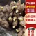 山东生姜生姜种子货源充足产地直发可视频看货