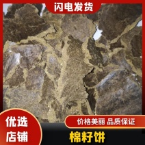 饼肥棉籽饼菌类果树蔬菜肥料高效有机肥