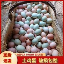 精品土鸡蛋散养土鸡蛋放养土鸡蛋鸡场直发品质有保障