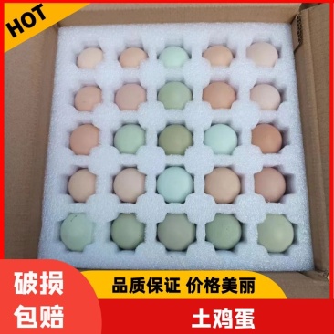 精品散养土鸡蛋鸡场直发破损包赔12个左右粉绿混装