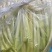 【优选】精品江苏蒲菜货发全国大量上市欢迎联系