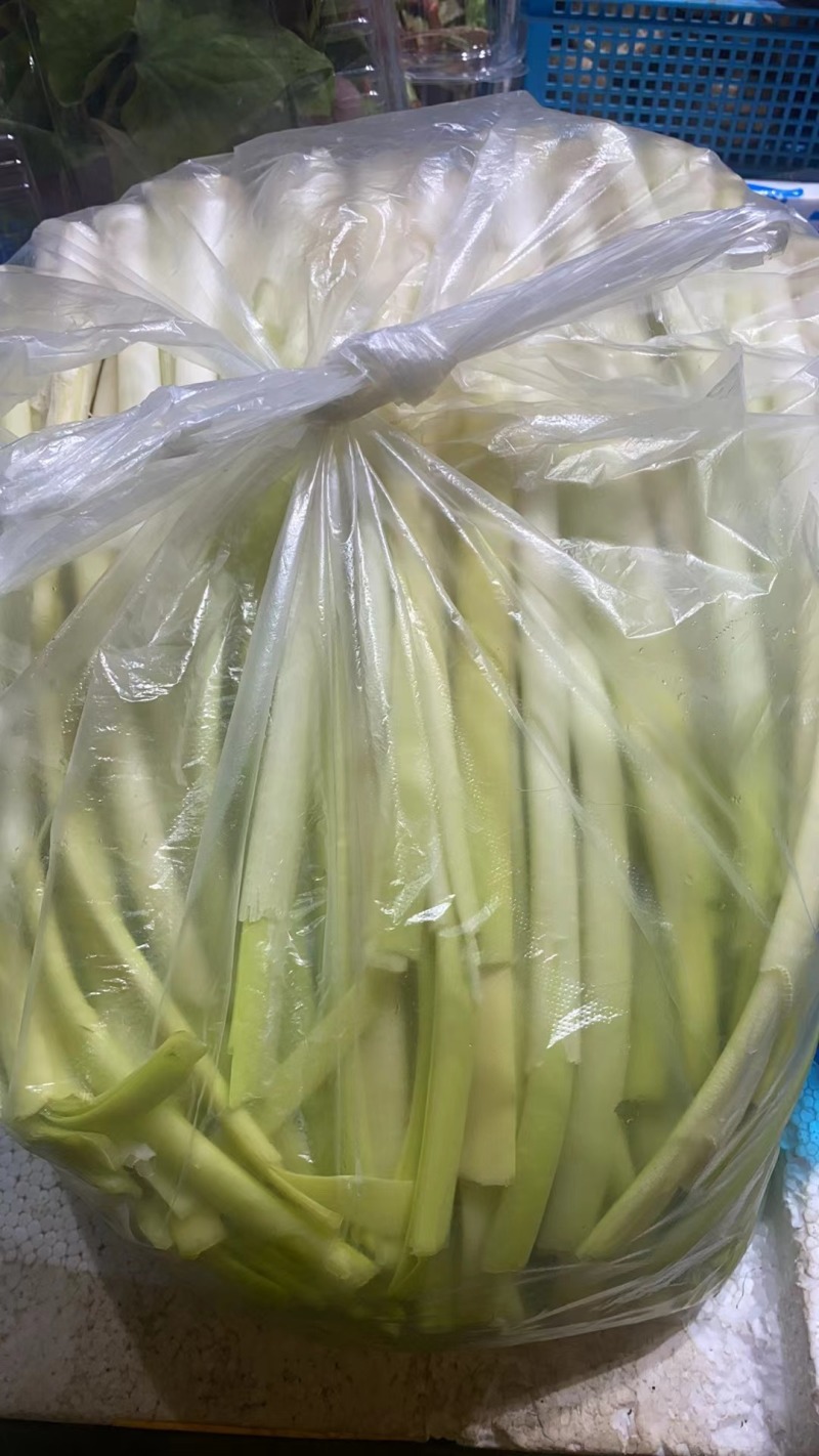 【优选】精品江苏蒲菜货发全国大量上市欢迎联系