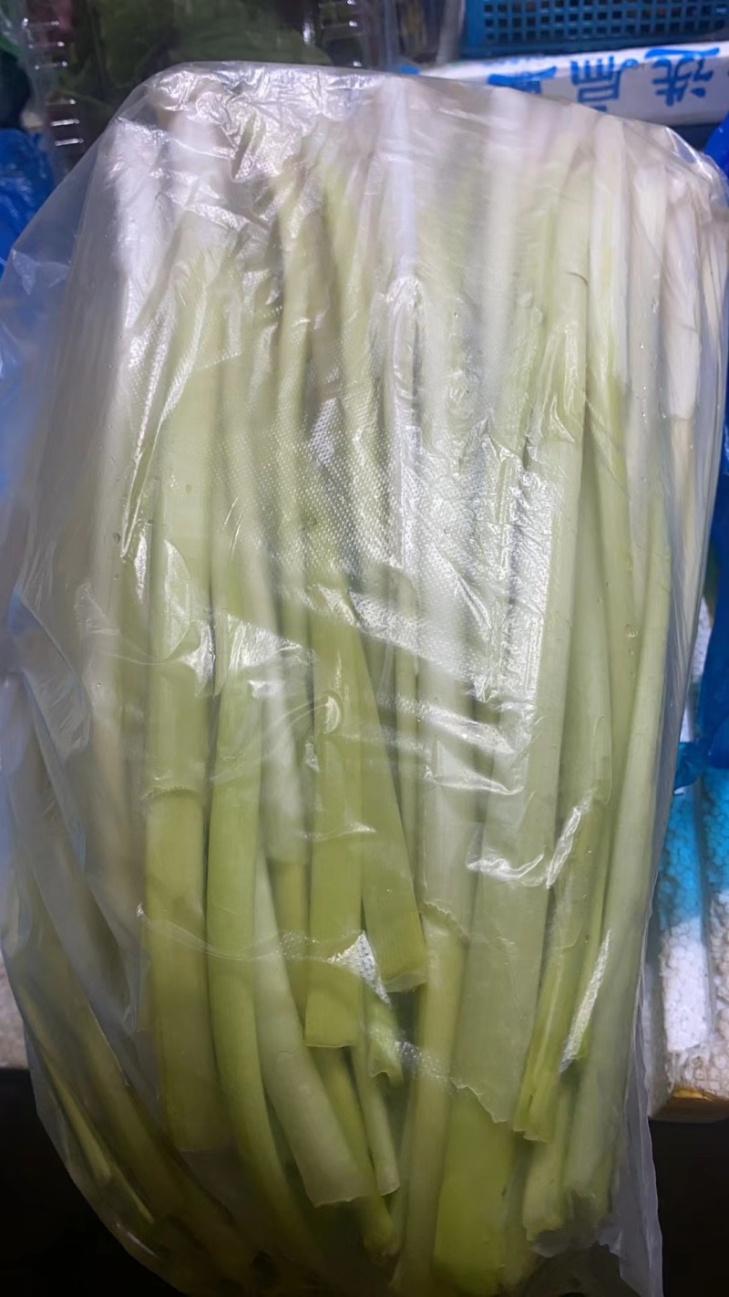 【优选】精品江苏蒲菜货发全国大量上市欢迎联系