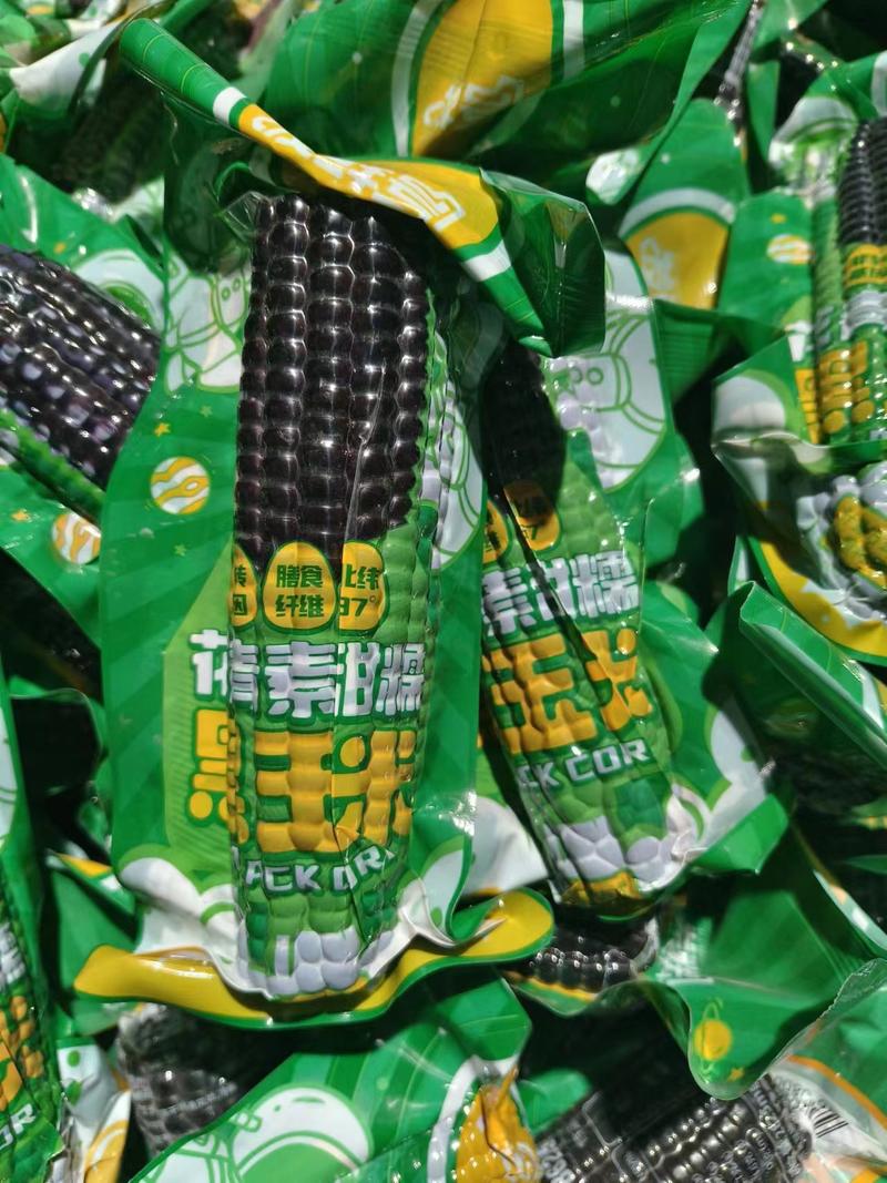 全国发货【黑玉米】口感甘甜来电优惠商超品质欢迎咨询