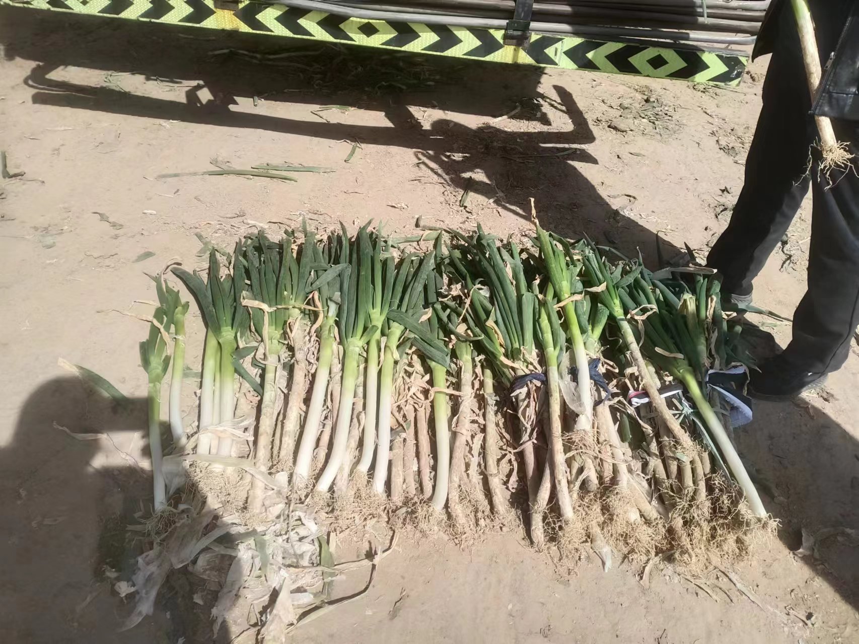 小葱拌豆腐,清淡健康,适合高尿酸人群 小葱拌豆腐配图