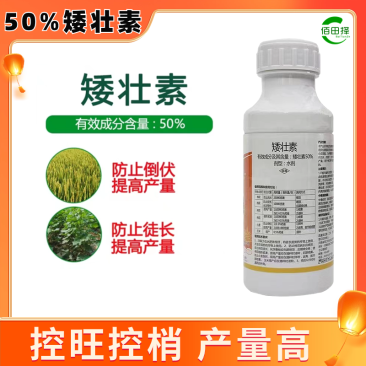 50%矮壮素水剂小麦花生大豆果树蔬菜通用控旺矮壮剂防徒长