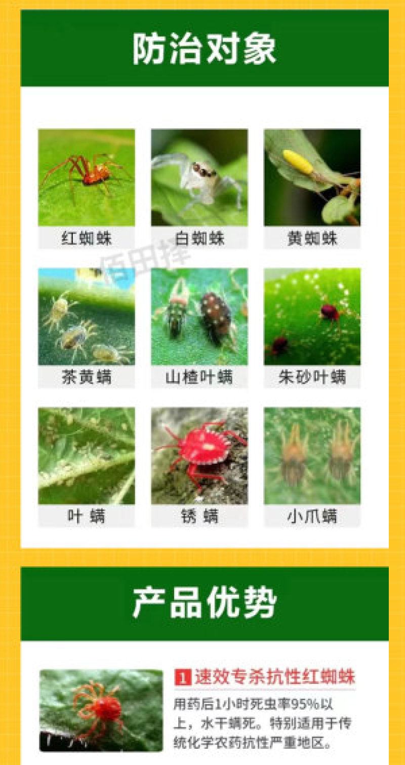 达满三秒红蜘蛛专用杀螨助剂柑橘月季蔬菜花卉果树杀螨助剂杀