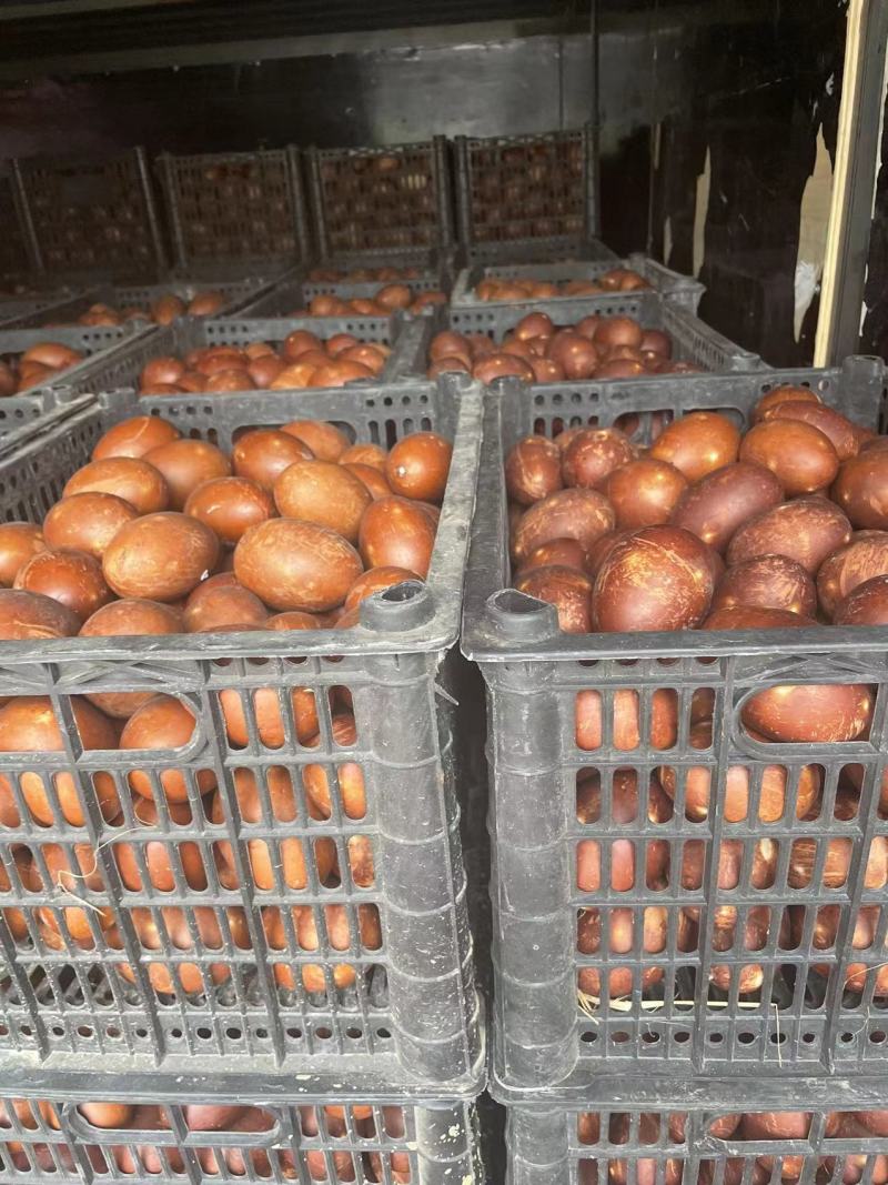 精品烤鸭蛋咸香流油厂家直发一手货源