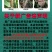 70%甲基硫菌灵杀菌剂蔬菜花卉白粉病霜霉病果树炭疽病专用