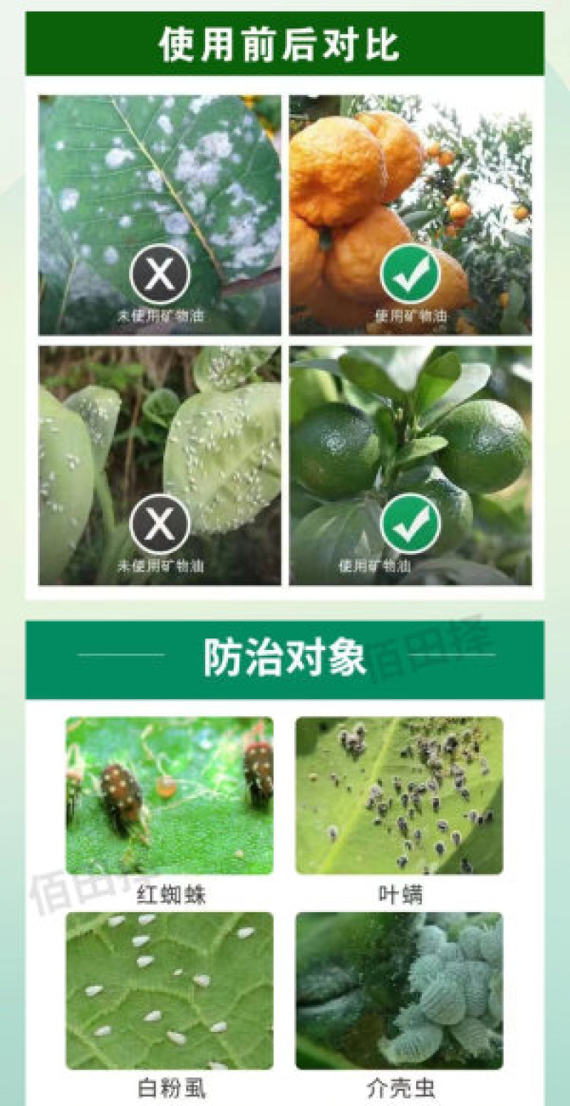 99%矿物油杀虫剂红蜘蛛介壳虫蚜虫白粉虱潜叶蛾柑橘果树清