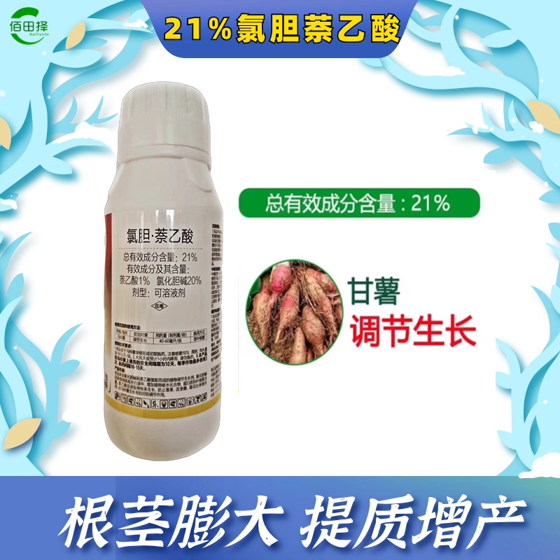 21%氯胆萘乙酸氯化胆碱果蔬菜土豆红薯山药人参地下膨大农