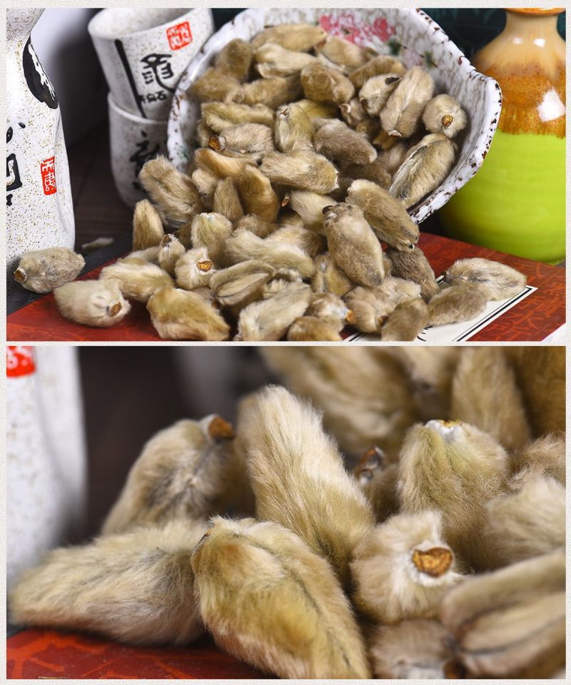辛夷花包邮中药材包邮望春花毛桃茶中草药