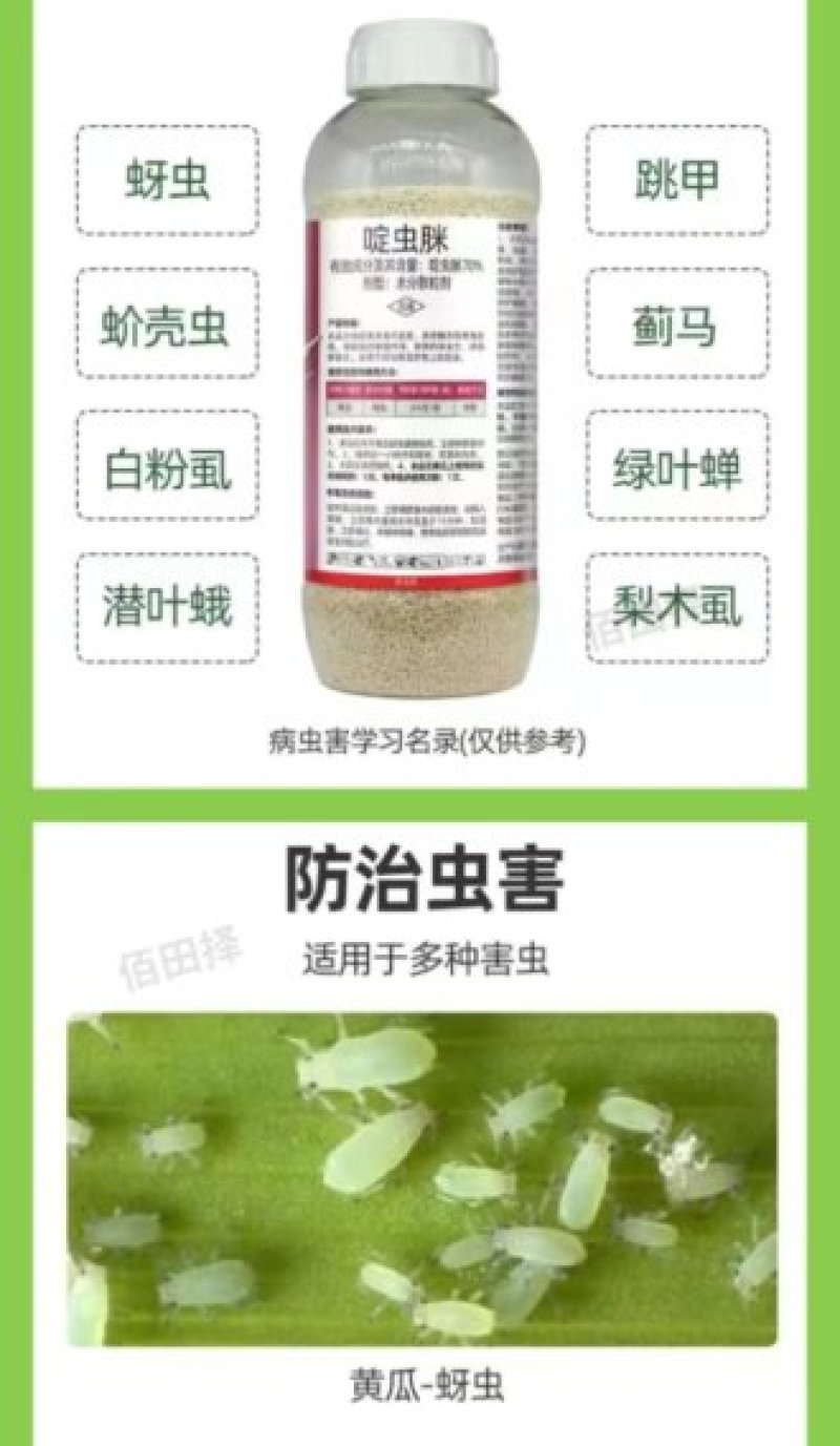 70%啶虫脒果树蔬菜蚜虫腻虫蓟马白粉虱杀虫剂花卉通用农药