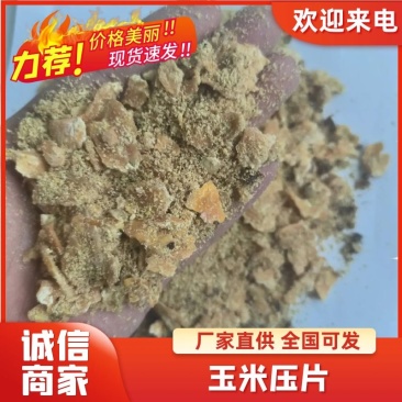 玉米压片发酵饲料量大从优厂家供货质量保证欢迎咨询