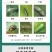 15%氟啶虫酰胺联苯菊酯桃树花椒黑蚜黄蚜果树蔬菜杀虫剂