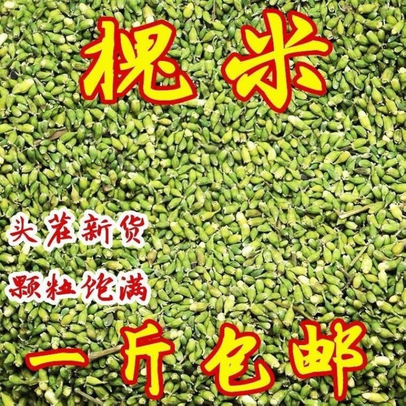 槐米农产品野生槐米槐米茶槐花茶熟的生槐米炒槐米