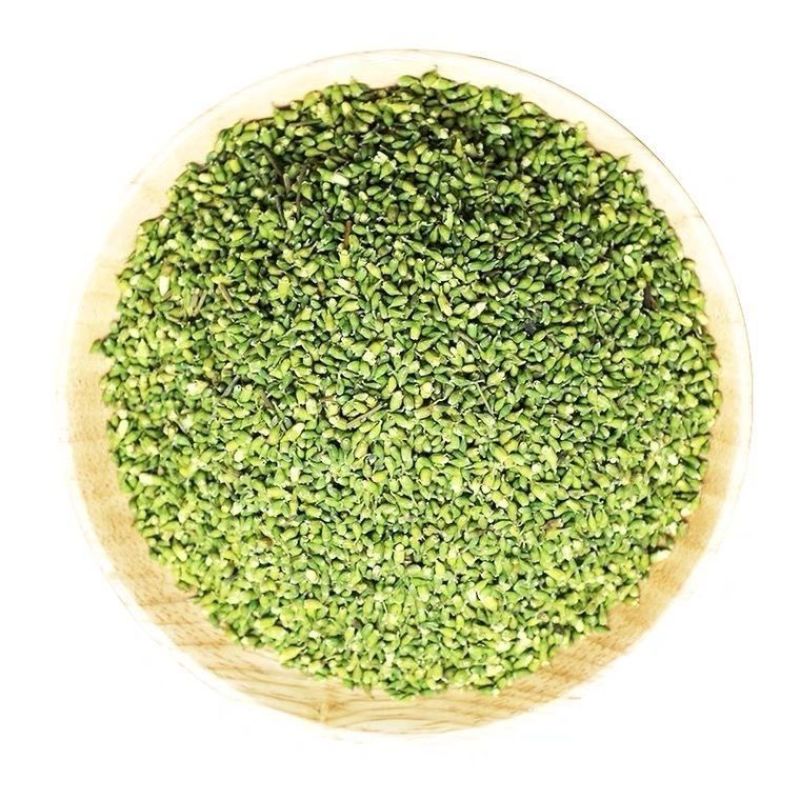 槐米农产品野生槐米槐米茶槐花茶熟的生槐米炒槐米