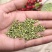 槐米农产品野生槐米槐米茶槐花茶熟的生槐米炒槐米