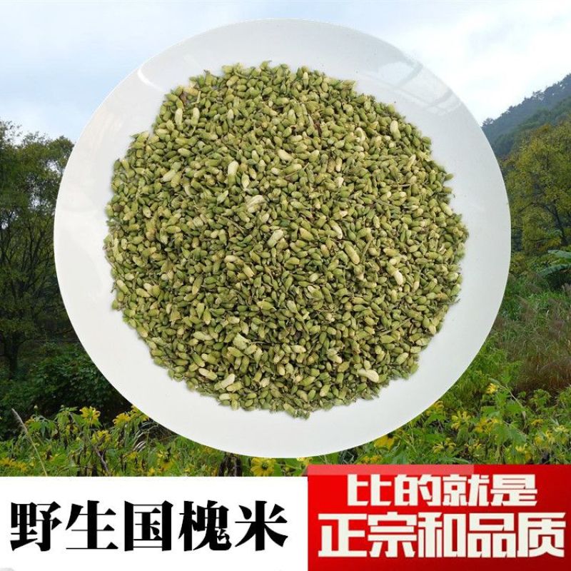 槐米国槐野生干槐花茶泡水炒熟槐米茶愧槐花米晒干生槐米籽槐