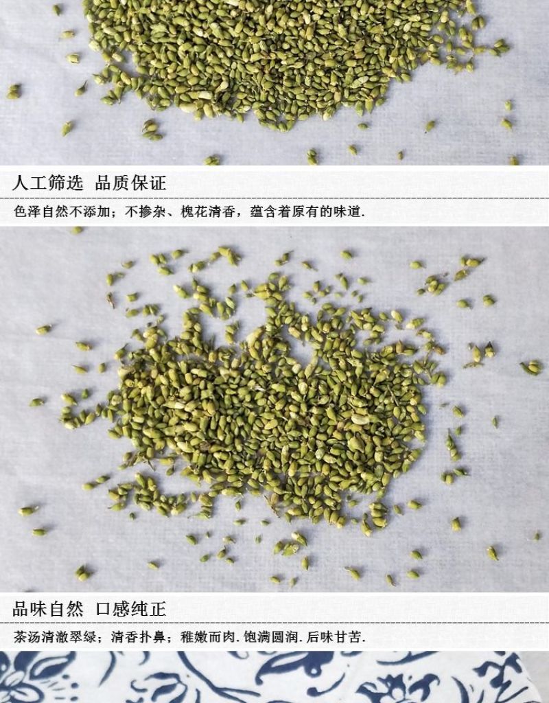 槐米国槐野生干槐花茶泡水炒熟槐米茶愧槐花米晒干生槐米籽槐