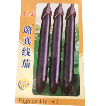 璐真线茄种子批发早熟紫黑亮肉质细腻座果率高