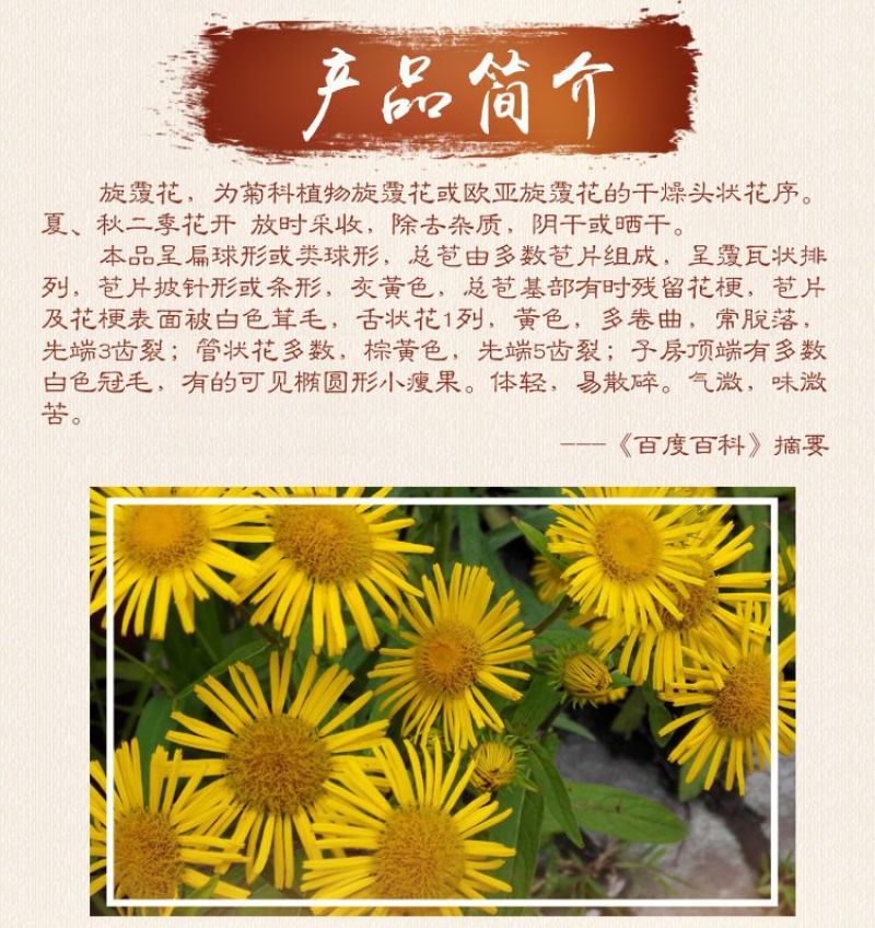旋覆花玄复花云南野生中药材旋覆花旋复花金钱菊