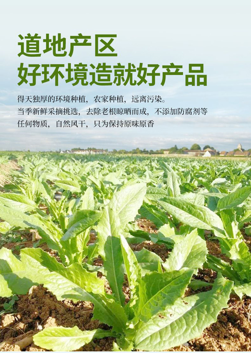 安徽贡菜干品质保证产地直发可视频看货欢迎咨询