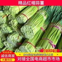 蒜苔/红帽蒜苔/周口蒜苔/淮阳蒜苔/河南蒜苔/全国发货