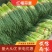 蒜苔/红帽蒜苔/周口蒜苔/淮阳蒜苔/河南蒜苔/全国发货