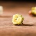 白梅花黄山绿萼梅梅花苞泡茶可搭配白梅花