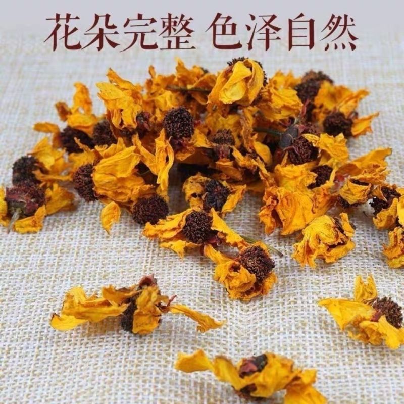 昆仑雪菊新疆昆仑雪菊花天山雪菊血菊