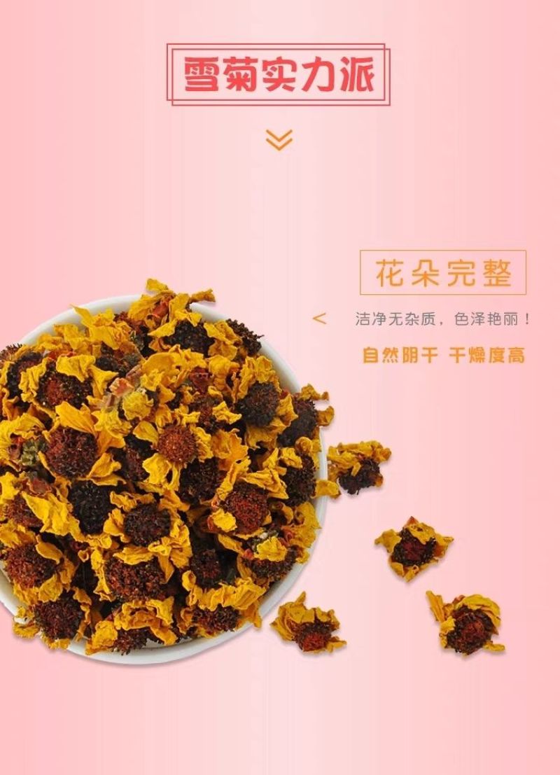 昆仑雪菊新疆昆仑雪菊花天山雪菊血菊