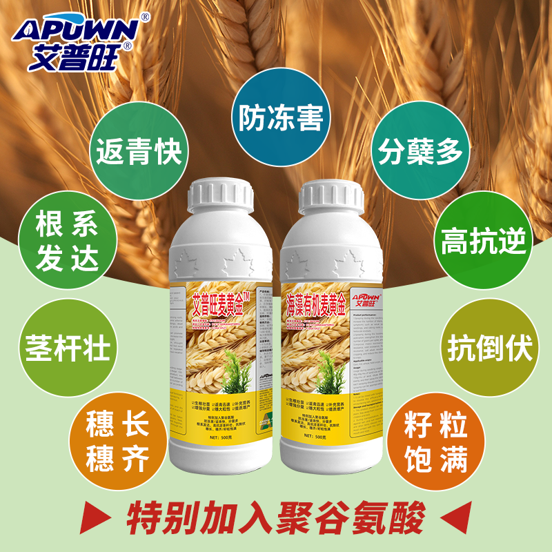 麦黄金中量元素水溶肥促根壮苗防冻害高抗逆抗倒伏