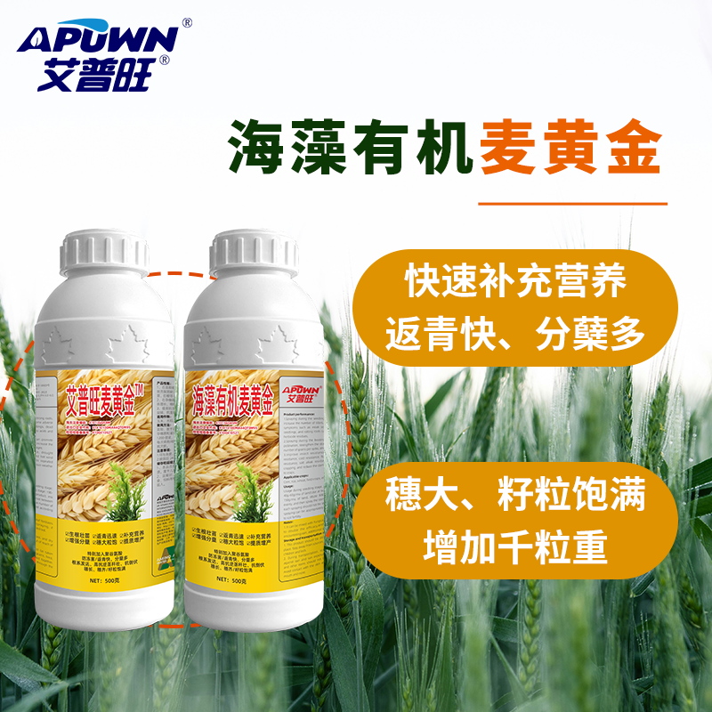 麦黄金中量元素水溶肥促根壮苗防冻害高抗逆抗倒伏