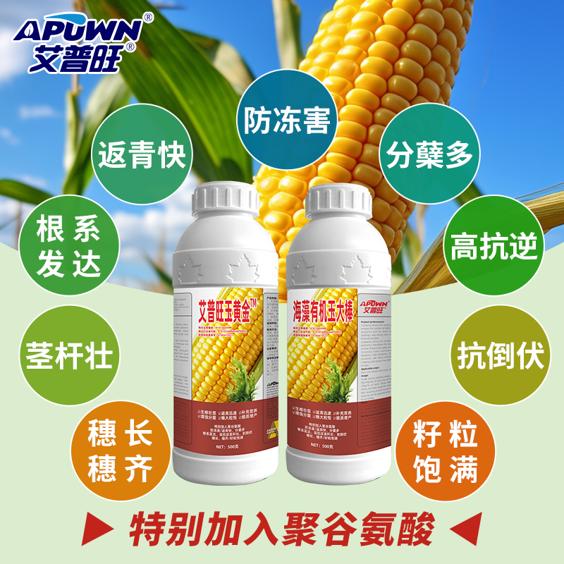 玉黄金生根壮苗提质增产返青迅速中量元素水溶肥