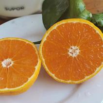 青见柑桔精品柑橘纯甜化渣实力供货现货速发量大