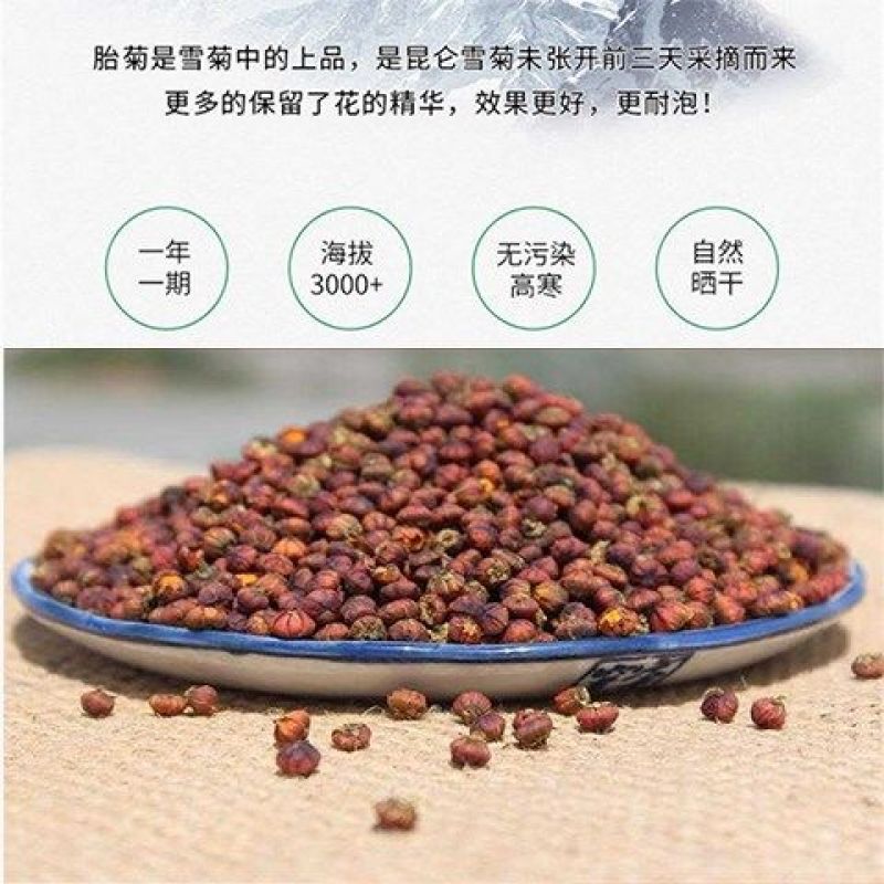 新疆昆仑雪菊胎菊当季天山雪菊新鲜无硫冰山雪菊食用