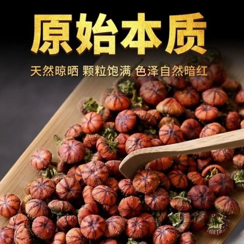 新疆昆仑雪菊胎菊当季天山雪菊新鲜无硫冰山雪菊食用