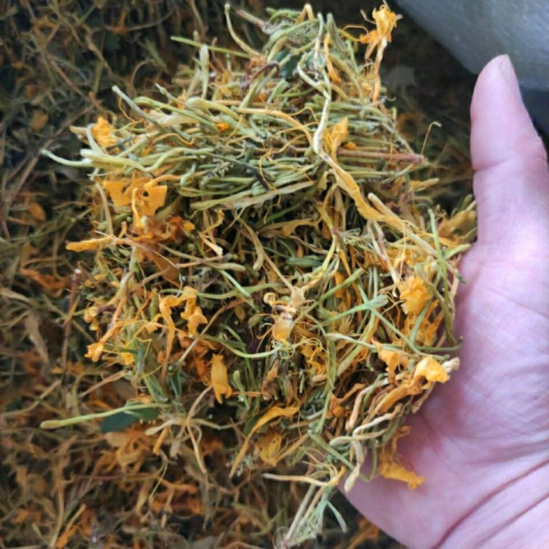 客家山银花野生金银花宝宝洗澡清金银花茶