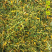 野生山银花无硫双花农家天然金银花茶泡水