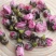 干桃花泡茶桃花茶桃花干花茶可做桃花酒桃花酿泡水干净