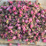 干桃花泡茶桃花茶桃花干花茶可做桃花酒桃花酿泡水干净
