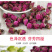 无硫平阴玫瑰花茶玫瑰花蕾多规格玫瑰花干花