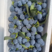 山东蓝莓精品蓝莓F6蓝莓商超电商社区团购一条龙服务