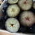 山东蓝莓精品蓝莓L5蓝莓商超电商社区团购一条龙服务