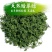 人参花神草花长白山人参花8年参龄参花人参花泡茶批