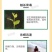 红蜘蛛杀虫剂杀螨剂专用药阿维螺螨酯柑橘果树花卉红白蜘蛛