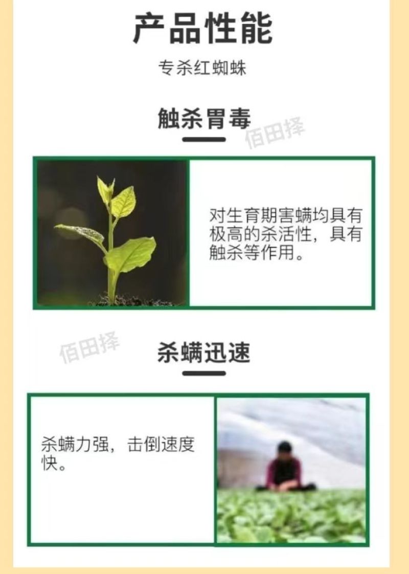 红蜘蛛杀虫剂杀螨剂专用药阿维螺螨酯柑橘果树花卉红白蜘蛛